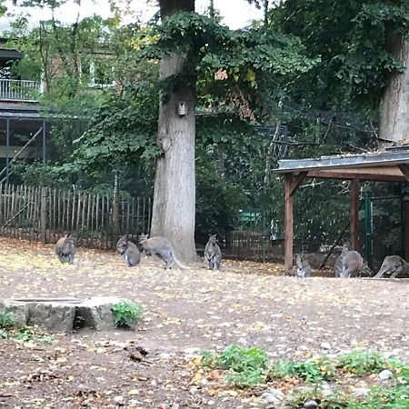 Ferienhaus Am Park Am Roehrensee Bayreuth Kültér fotó