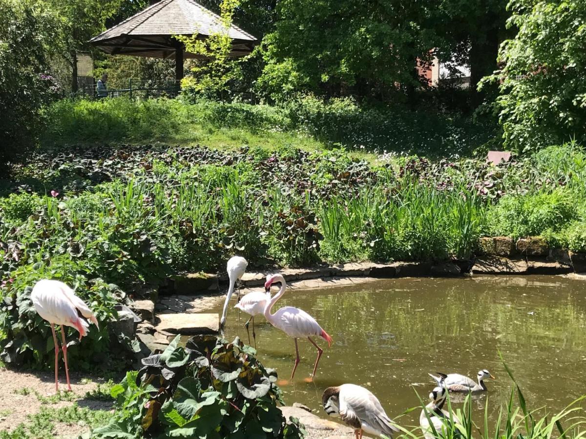 Ferienhaus Am Park Am Roehrensee Bayreuth Kültér fotó