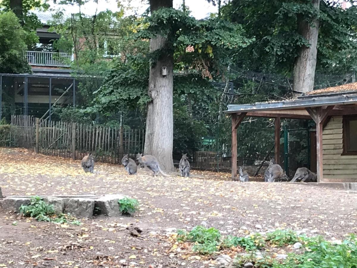 Ferienhaus Am Park Am Roehrensee Bayreuth Kültér fotó
